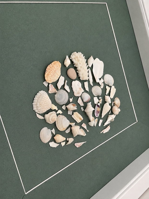 Tablou handmade unicat Sea Shell Mosaic în ramă Shadow Box  scoici naturale pe fundal verde salvie