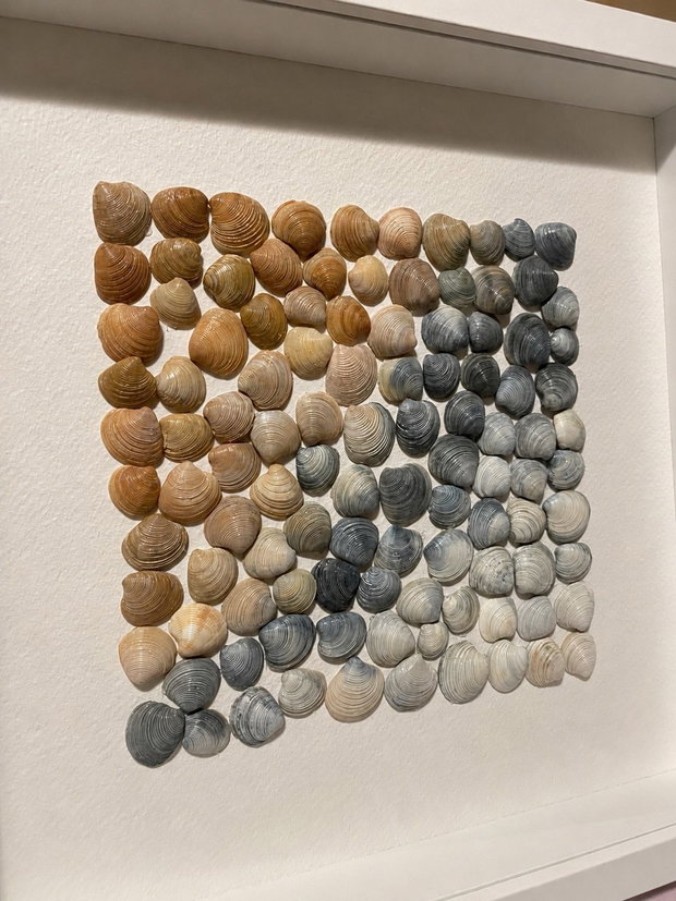 Shadow Box cu Scoici Naturale  Nuanțe de Coastă