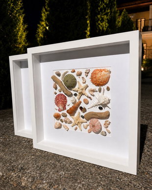 Shadow Box Marin cu Scoici și Stele de Mar