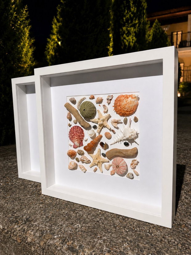 Shadow Box Marin cu Scoici și Stele de Mar