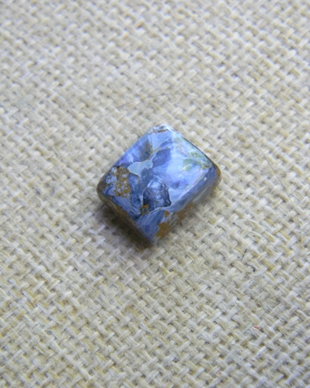 Caboson pietersit (C55)