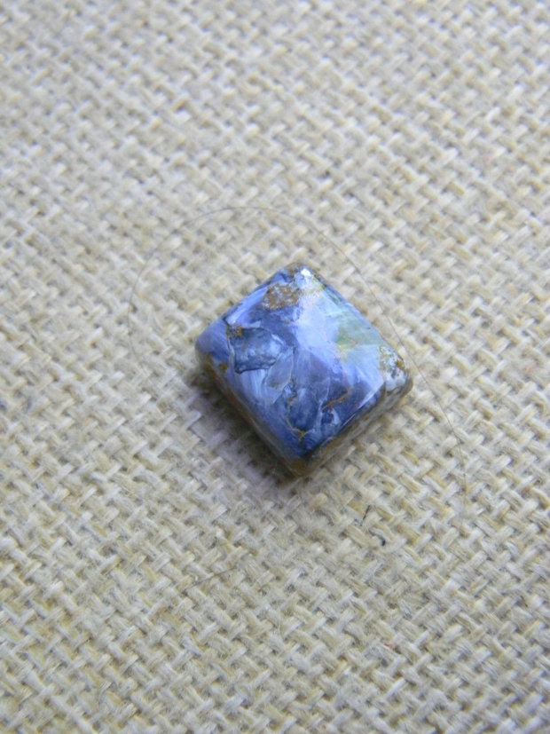 Caboson pietersit (C55)