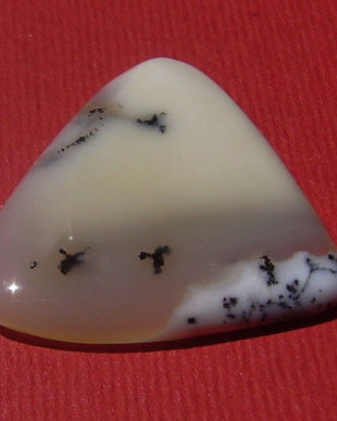 Opal dendritic cabochon aprox 28.5x28.5x4.5 mm