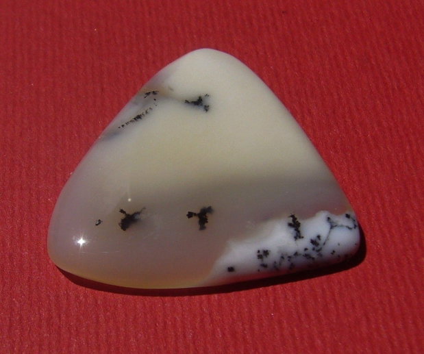 Opal dendritic cabochon aprox 28.5x28.5x4.5 mm