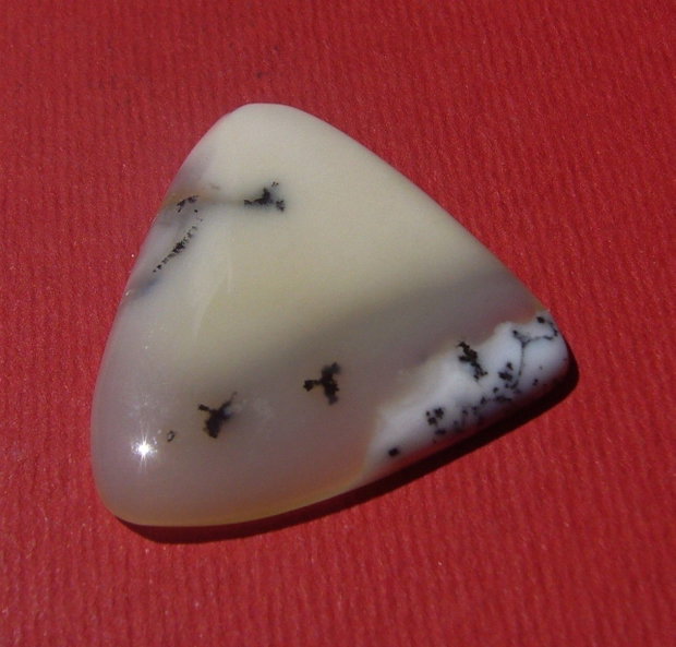 Opal dendritic cabochon aprox 28.5x28.5x4.5 mm