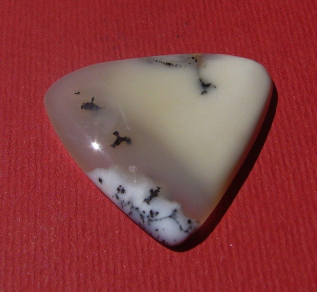 Opal dendritic cabochon aprox 28.5x28.5x4.5 mm