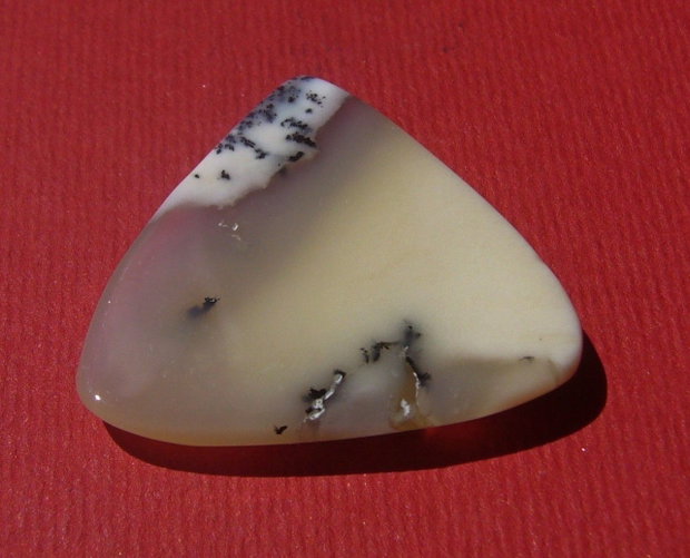 Opal dendritic cabochon aprox 28.5x28.5x4.5 mm