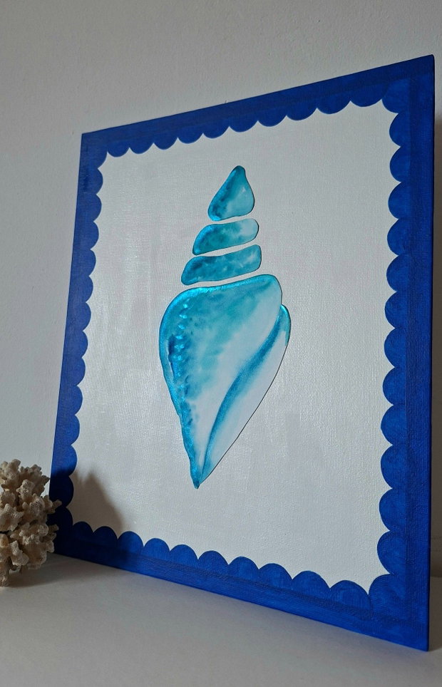 Ilustratie Scoică