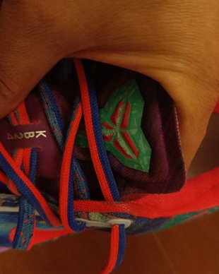 Nike- Kobe 8 Protro What The