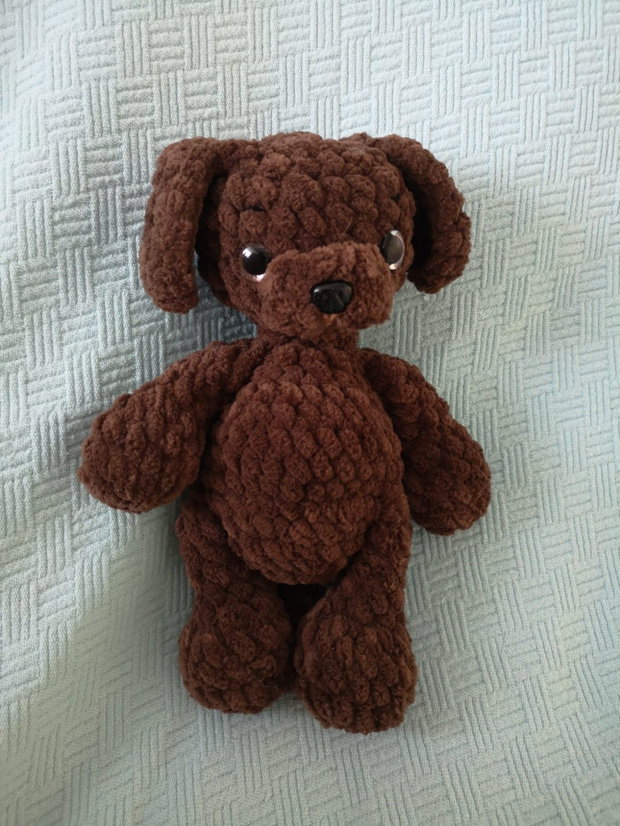 Puppy