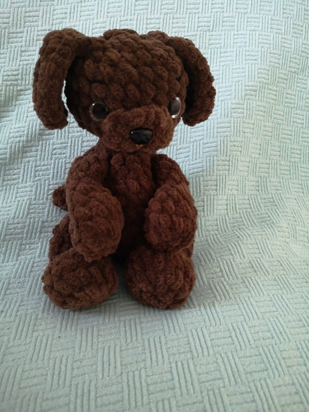 Puppy