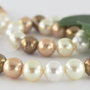 Perle seashell 10mm, cod ID8 (1sir)