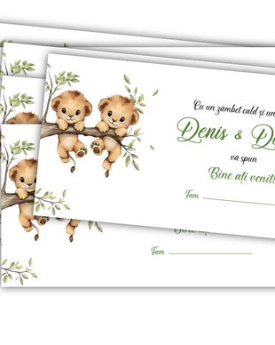 Plicuri pentru bani  Botez Gemeni | Tematică Leuți
