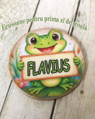 Insigne / ecusoane personalizate cu mascota clasei - tema broscute