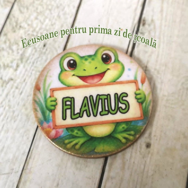 Insigne / ecusoane personalizate cu mascota clasei - tema broscute