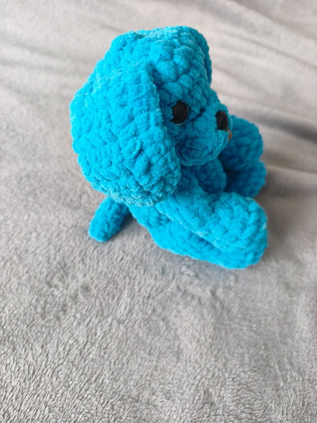 Blue Dog