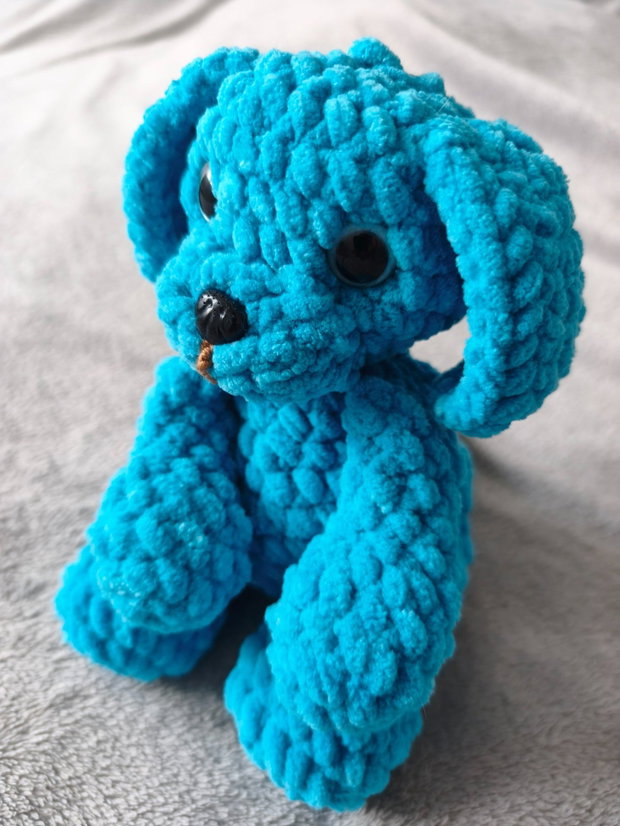 Blue Dog