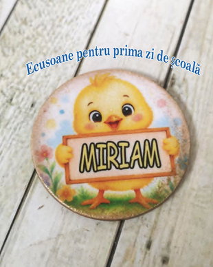 Onsifne / ecusoane personalizate pentru prima zi de scoala - tema puisori