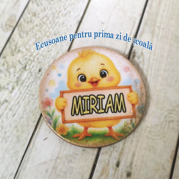 Onsifne / ecusoane personalizate pentru prima zi de scoala - tema puisori