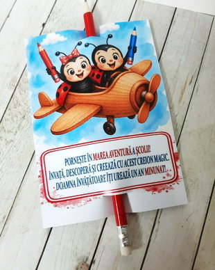 Card personalizat cu creion, cadou pentru prima zi de scoala - tema  buburuze