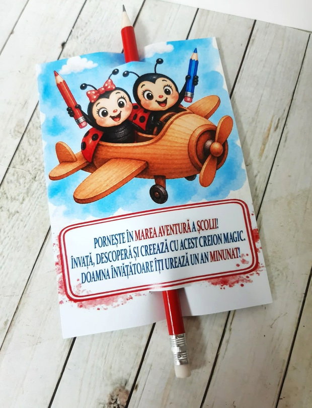 Card personalizat cu creion, cadou pentru prima zi de scoala - tema  buburuze