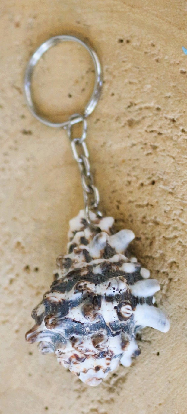 Breloc handmade cu scoică naturală O fărâmă din magia mării