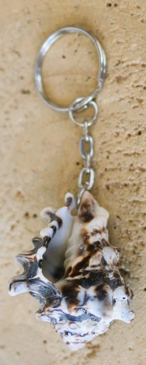 Breloc handmade cu scoică naturală O fărâmă din magia mării