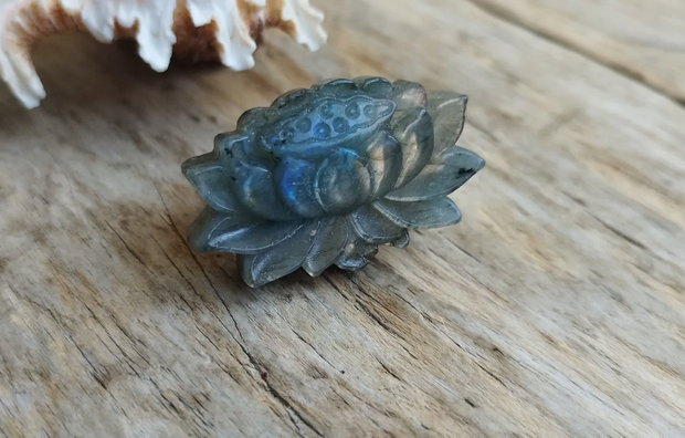 Inel lotus, labradorit - reglabil
