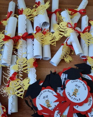 Set scrisori / diplome / invitatii si ecusoane