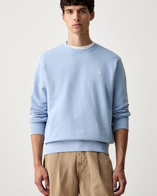 Polo Ralph Lauren hanorac pentru bărbați din bumbac