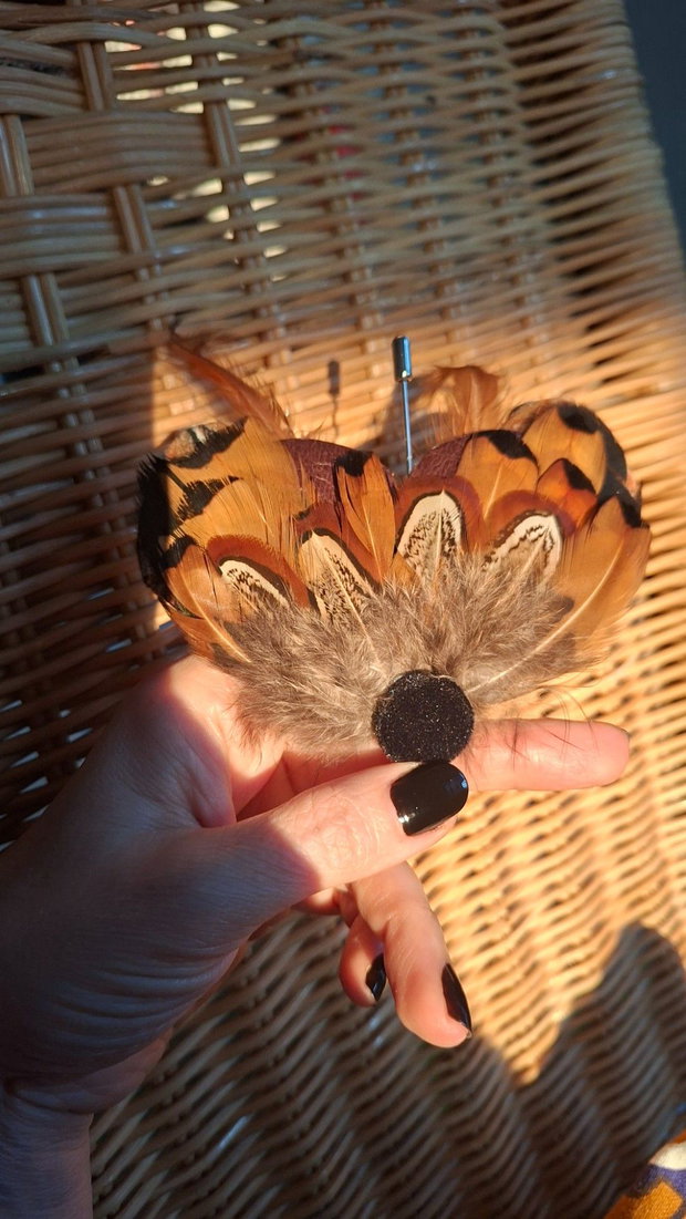 Brosa moth