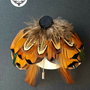 Brosa moth