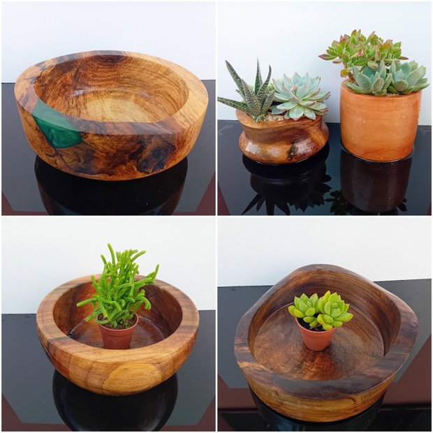 Ghivece/vase aranjamente plante din lemn