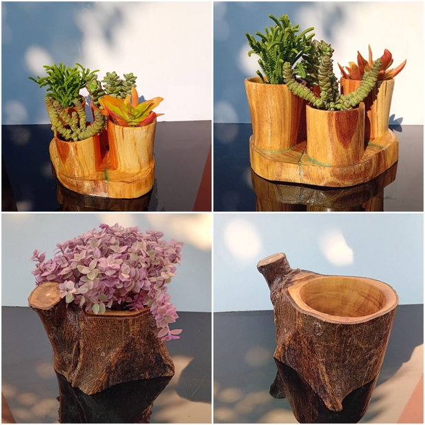 Ghivece/vase aranjamente plante din lemn