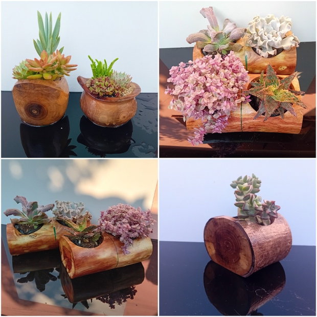 Ghivece/vase aranjamente plante din lemn