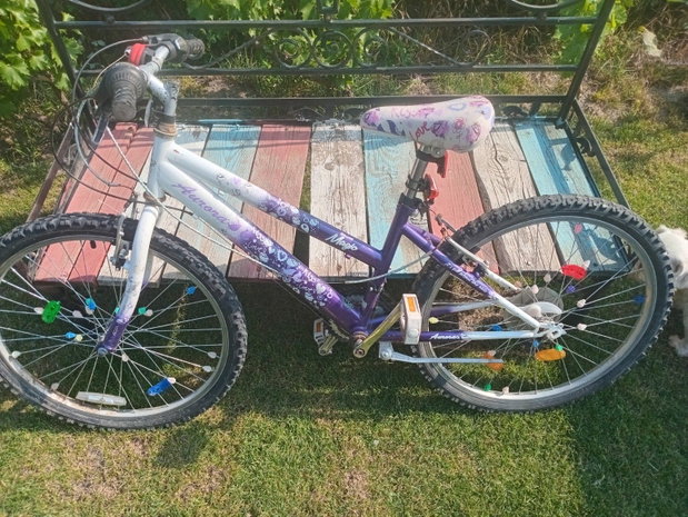 Biciclete
