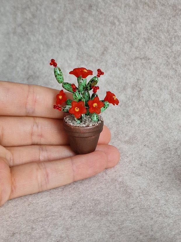 Cactus miniatural