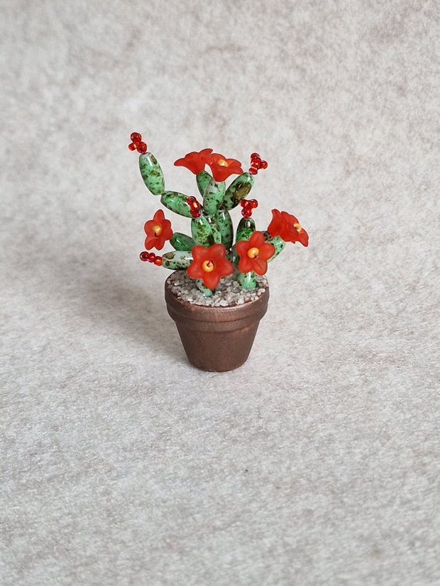 Cactus miniatural