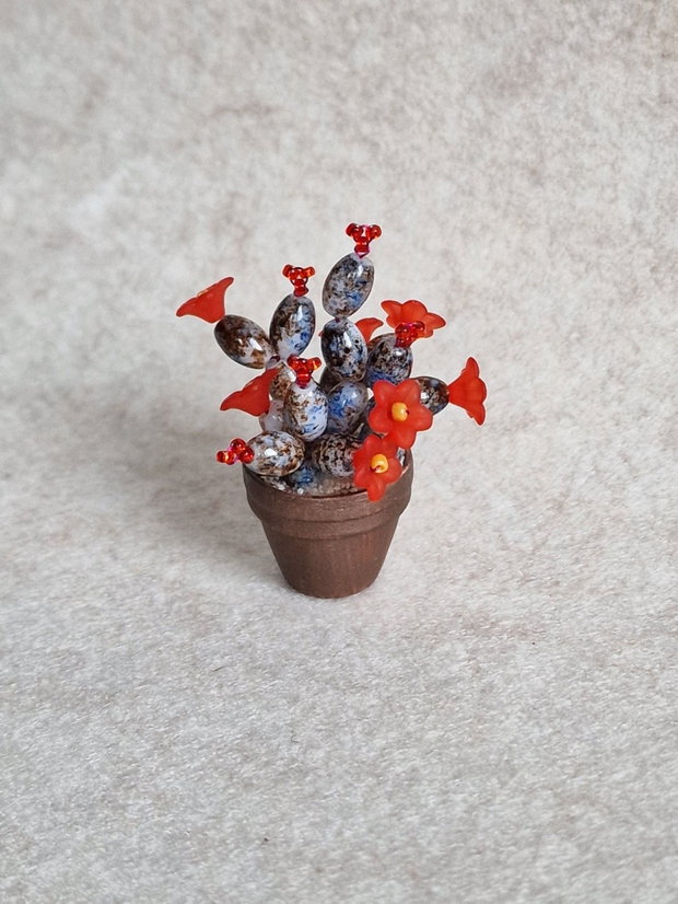 Cactus miniatural