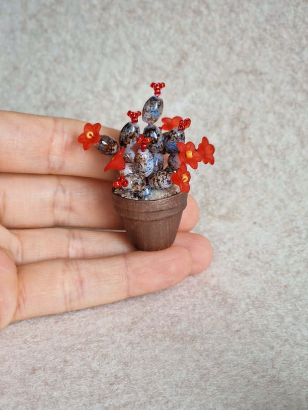 Cactus miniatural