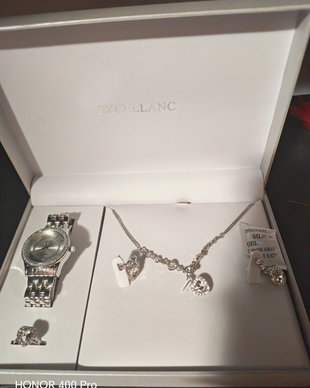 Set Excellanc argintiu