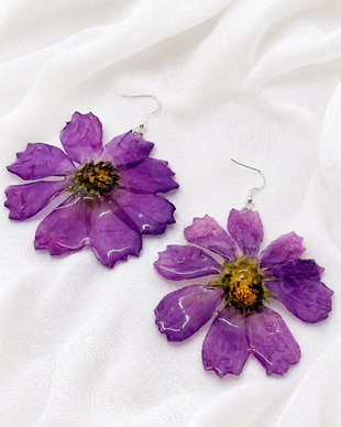 Cercei Anemone 02289