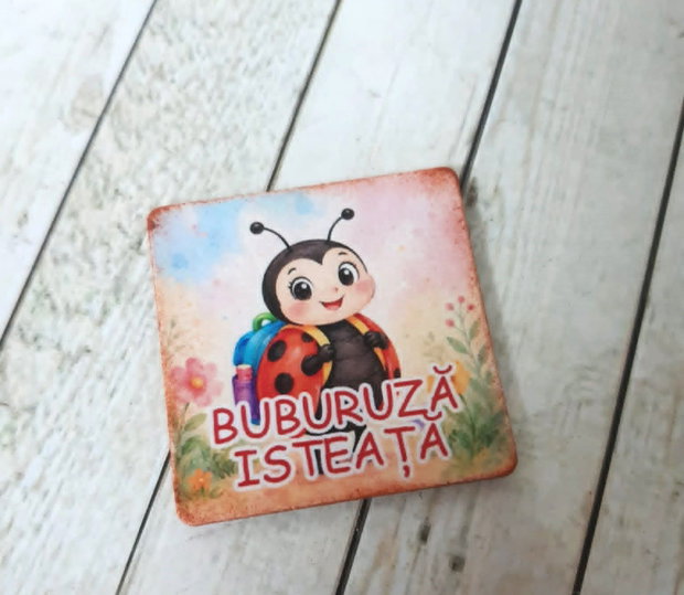 Insigne / ecusoane personalizate cu mascota clasei - cadou elevi prima zi de scoala