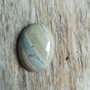 Cabochon silver leaf jasper, 30x22x7 mm
