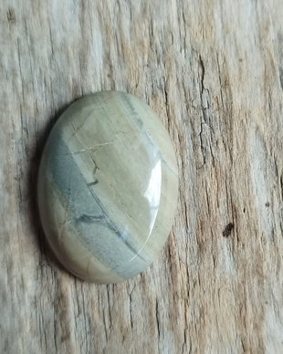 Cabochon silver leaf jasper, 30x22x7 mm