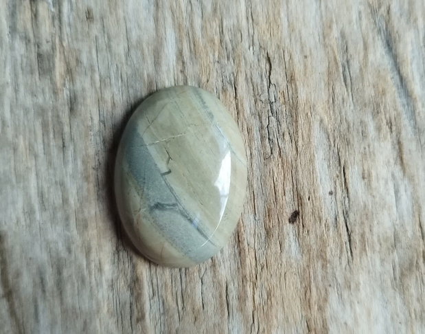 Cabochon silver leaf jasper, 30x22x7 mm