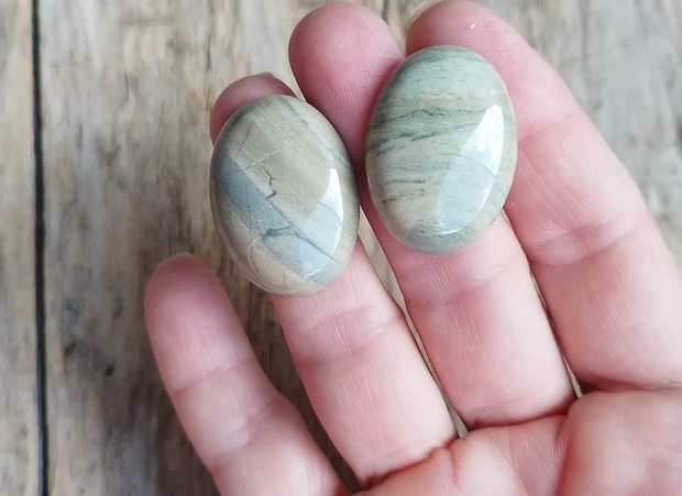 Cabochon silver leaf jasper, 30x22x7 mm