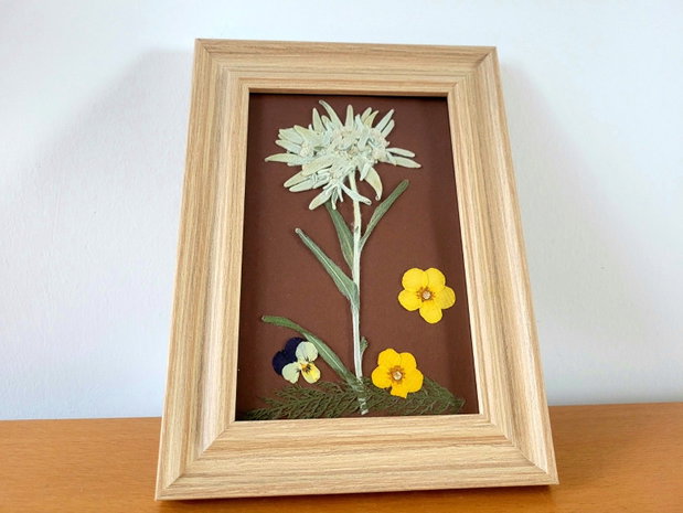 Tablou floare de colț presată
