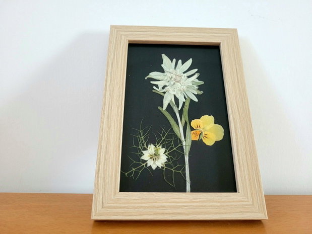 Tablou floare de colț presată