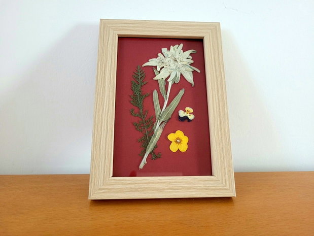 Tablou floare de colț presată